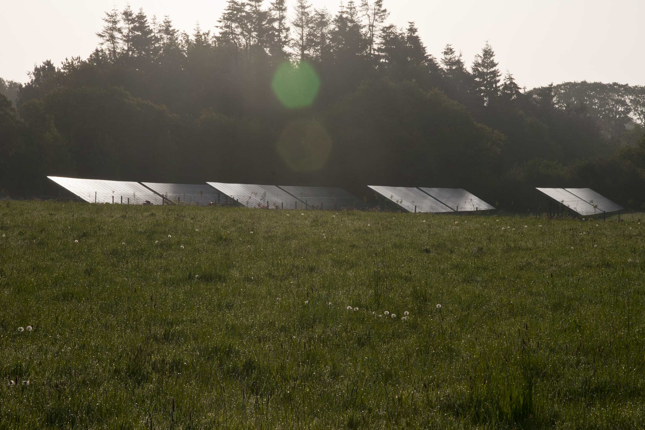solar panels green energy